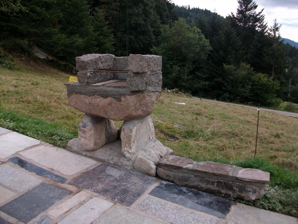 Appartement La Timoniere Gérardmer Dış mekan fotoğraf