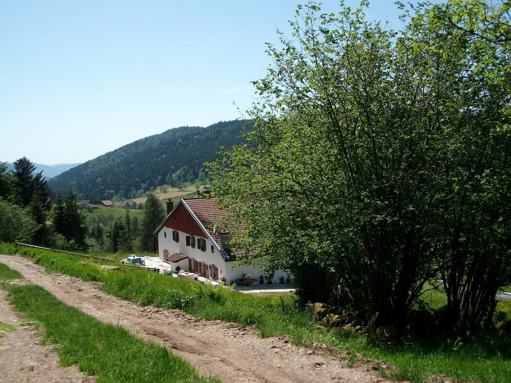 Appartement La Timoniere Gérardmer Dış mekan fotoğraf